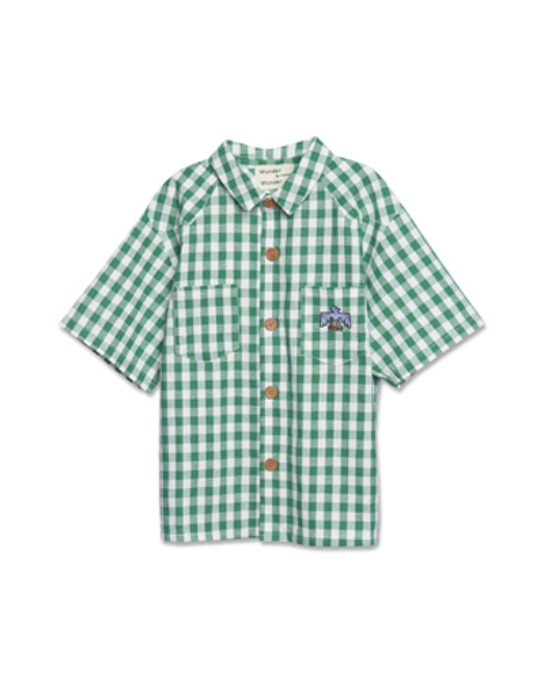 Western Shirt_C2110_green check