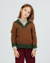 Wool Zipped Sweater Pine Green, Brown_21415333